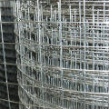 Galvanized  welded wire mesh & High quality & Widely used